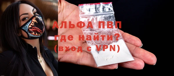 индика Корсаков