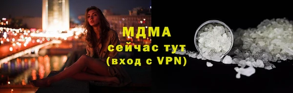индика Корсаков