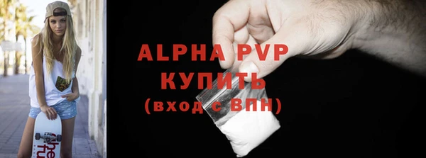 индика Корсаков