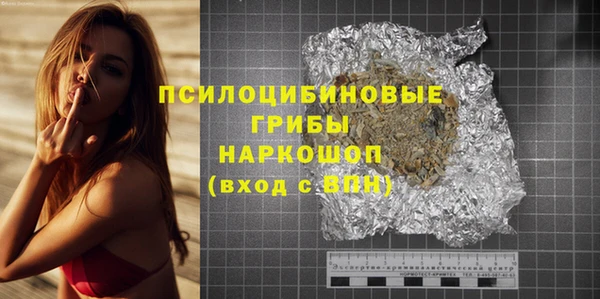 индика Корсаков