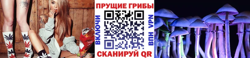 Псилоцибиновые грибы мицелий  наркошоп  блэк спрут как зайти  Пучеж 
